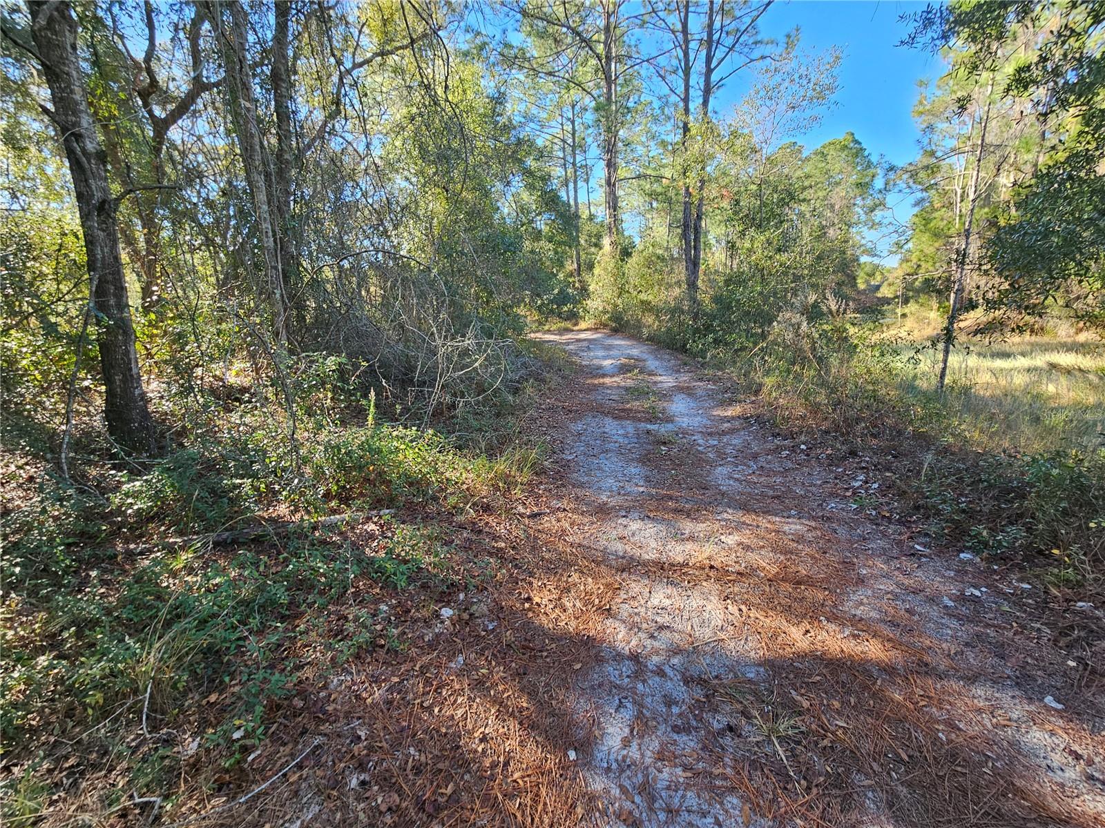 RIDGE MANOR ESTATE - Land