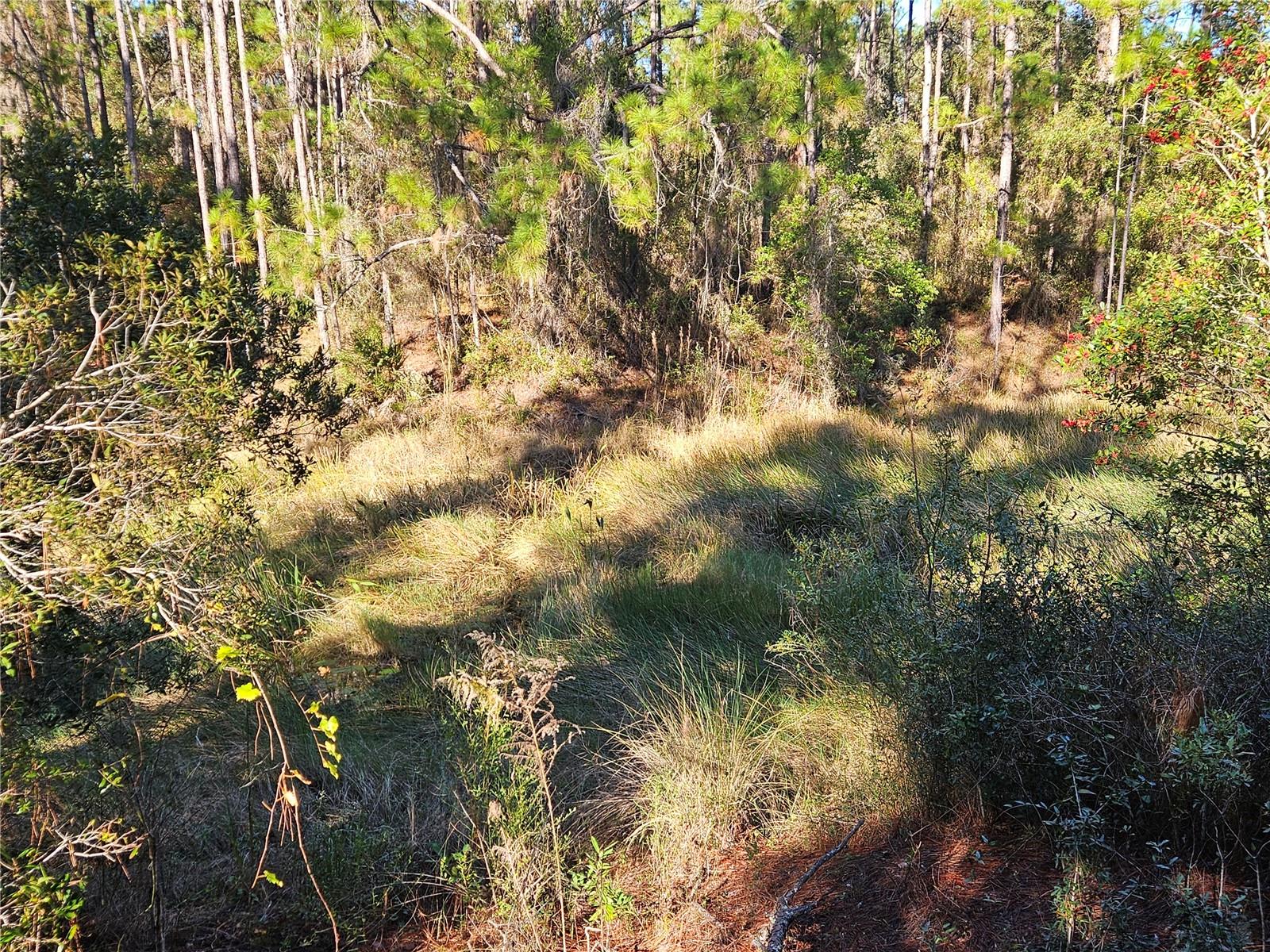 RIDGE MANOR ESTATE - Land