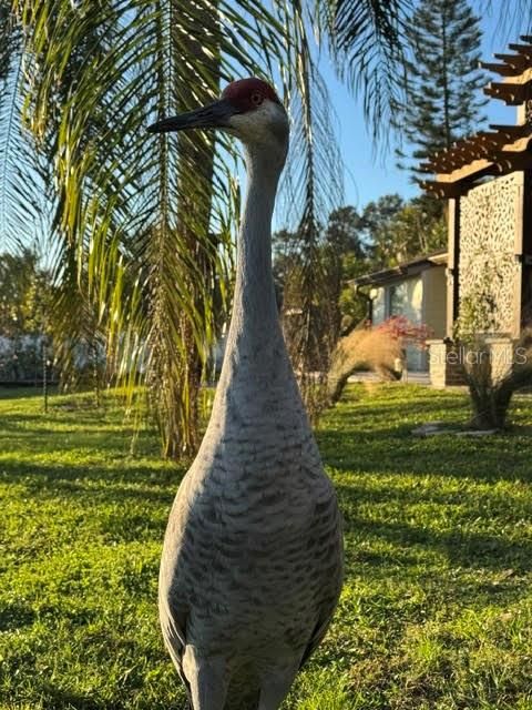 A home in KISSIMMEE