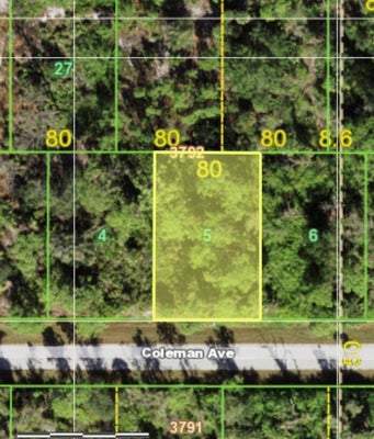 11988 COLEMAN AVE, PORT CHARLOTTE, FL 33981 - Image e181198beffcbe88666b804d718c170f/3950344545