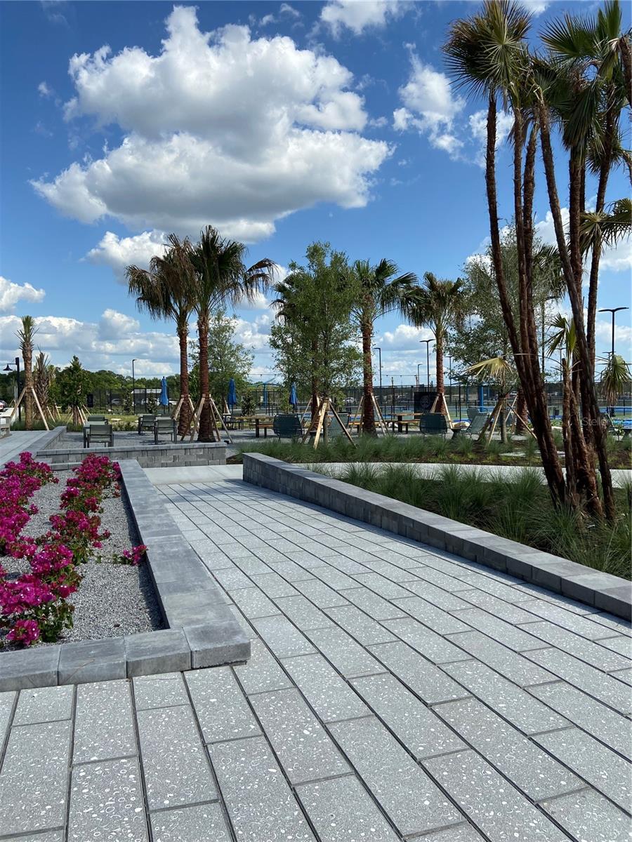 WILD BLUE / PHASE I - Residential