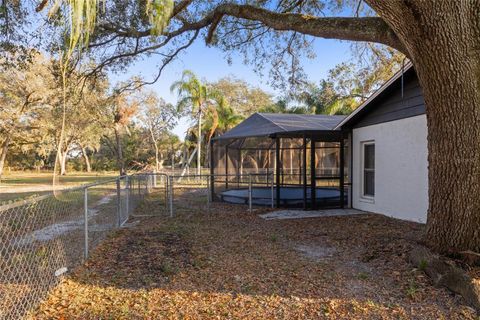 A home in ZEPHYRHILLS