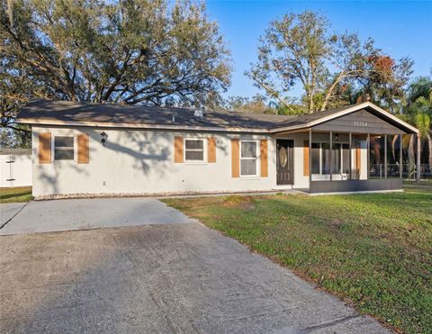 A home in ZEPHYRHILLS