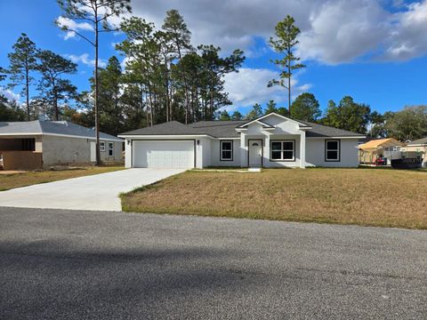 A home in CITRUS SPRINGS