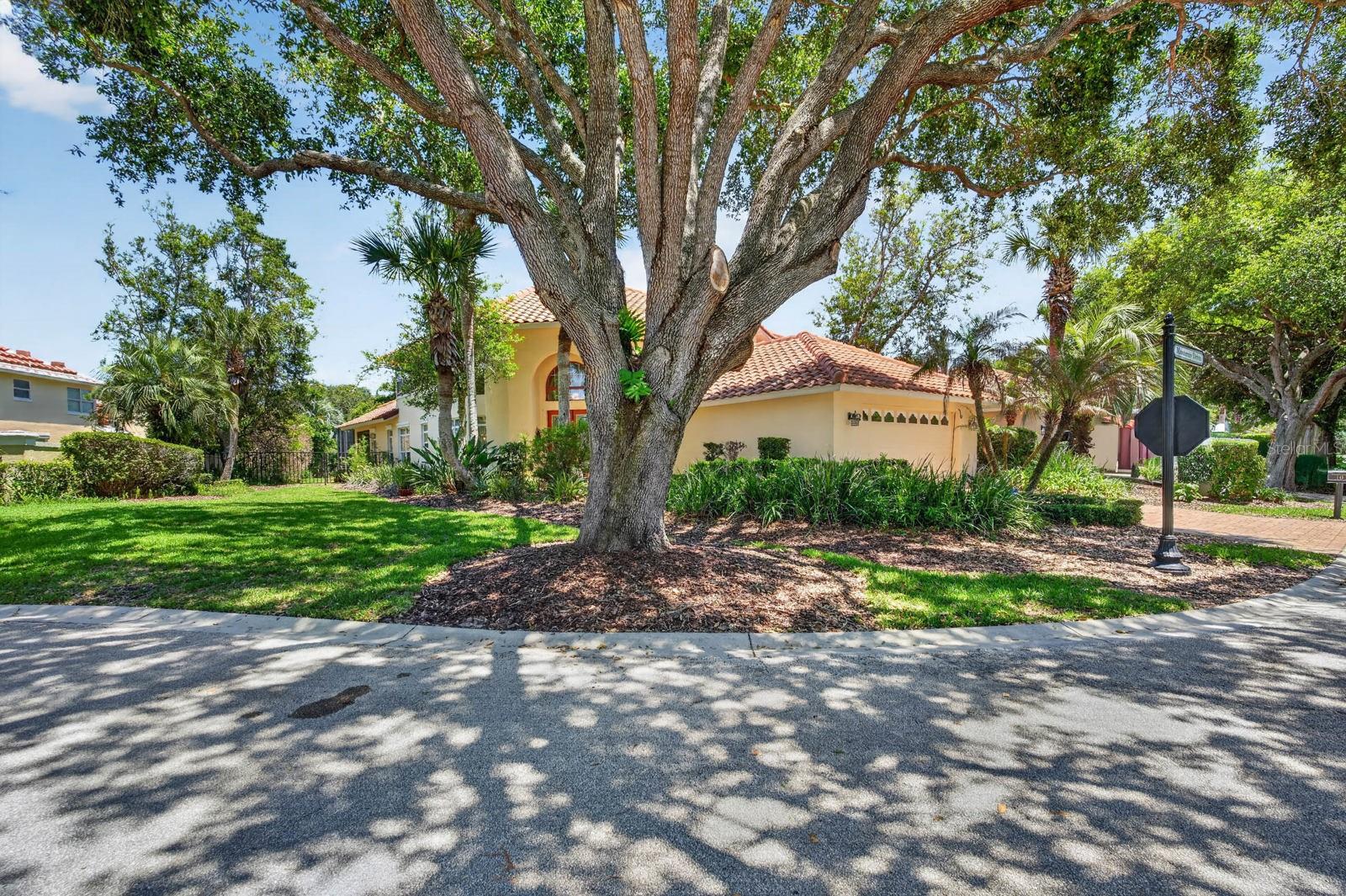 10 MONTERREY DRIVE