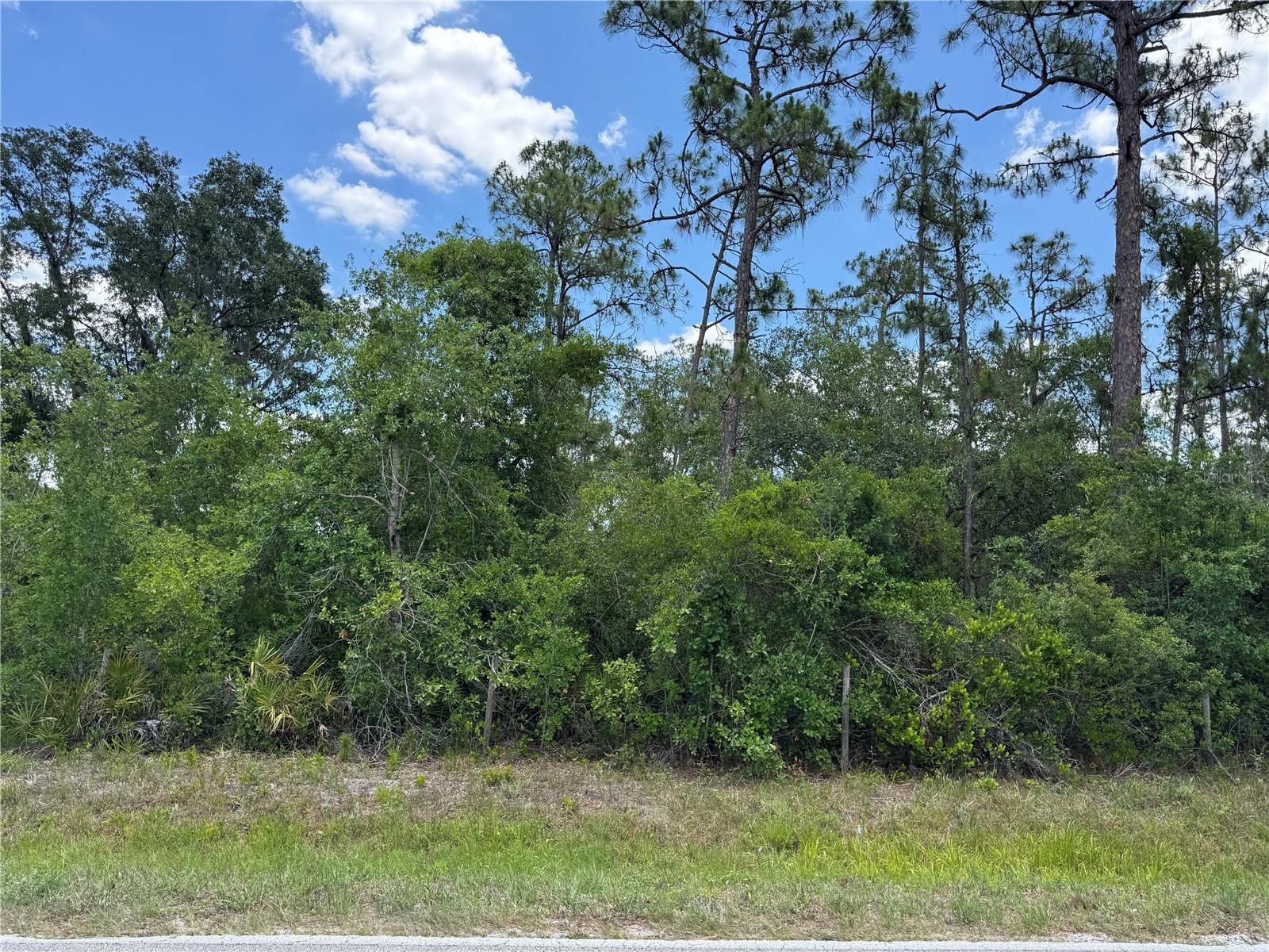 Escape the hustle and build your dream on this slice of untouched Florida paradise! Tucked between Sarasota and Arcadia, this over half-acre property is pure native Florida beauty—raw, peaceful, and full of possibility. With agricultural zoning, you're free to bring your animals, plant your garden, or finally build that dream home (or mini homestead!) you’ve been imagining. No HOA. No restrictions. Just wide-open potential in a location that keeps you connected—convenient to both the beaches and the backroads. Whether you're craving quiet country mornings or looking for land to live and work on, this is your blank canvas. Ready to breathe some fresh air into your next chapter?
