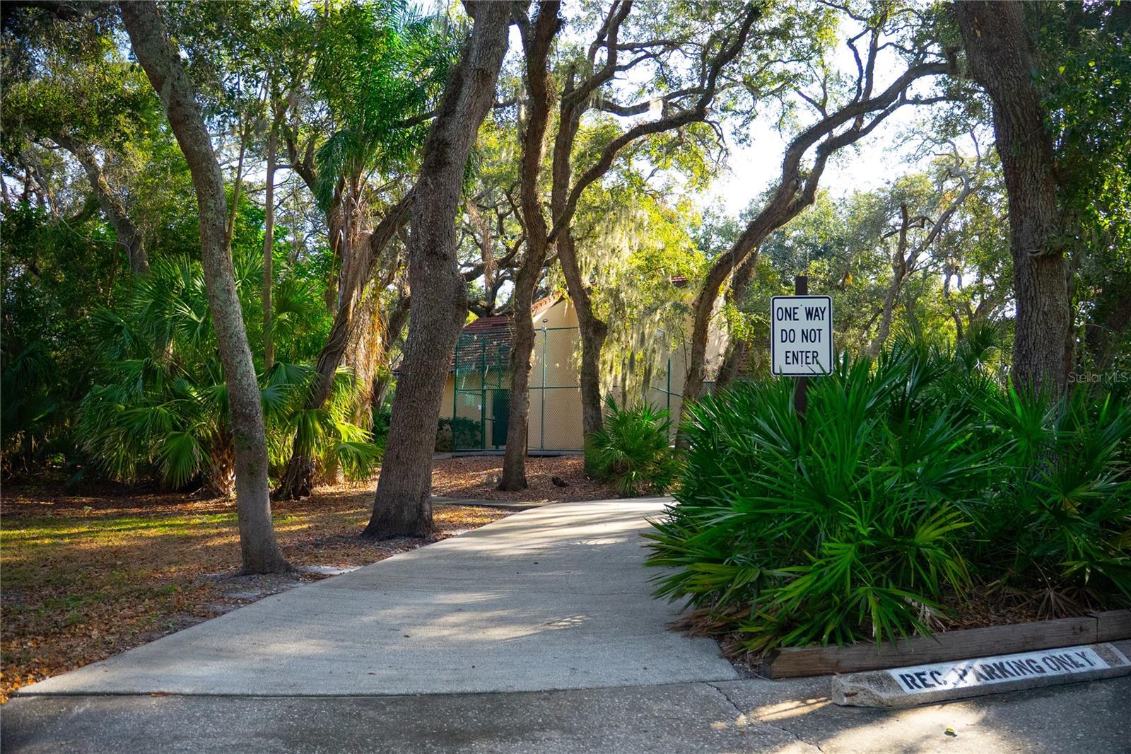 WEDGE WOOD OF PALM HARBOR - Residential