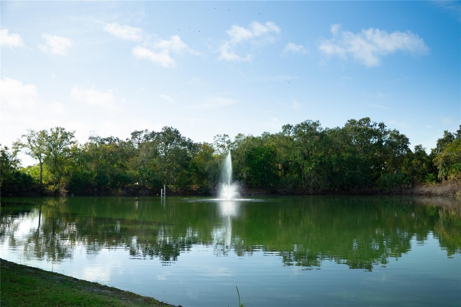 WEDGE WOOD OF PALM HARBOR - Residential