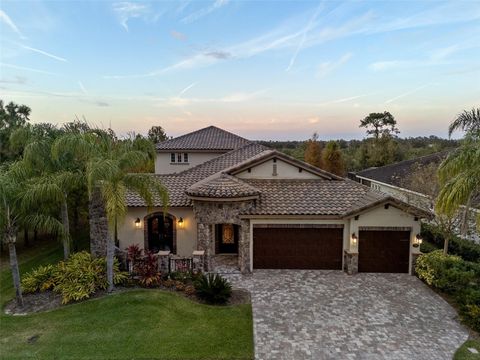 A home in WESLEY CHAPEL