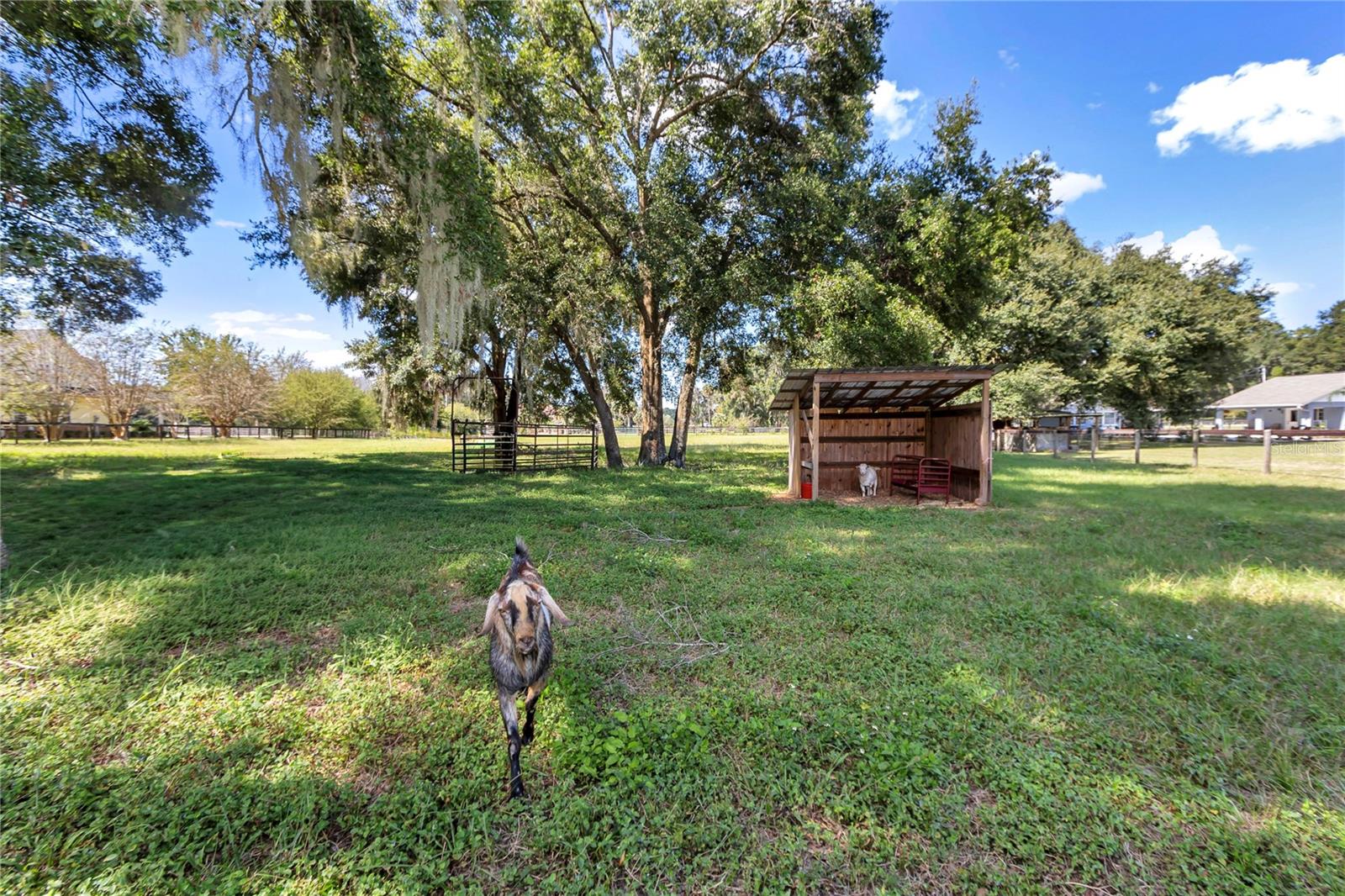 MEADOWBROOK RANCHES - Residential