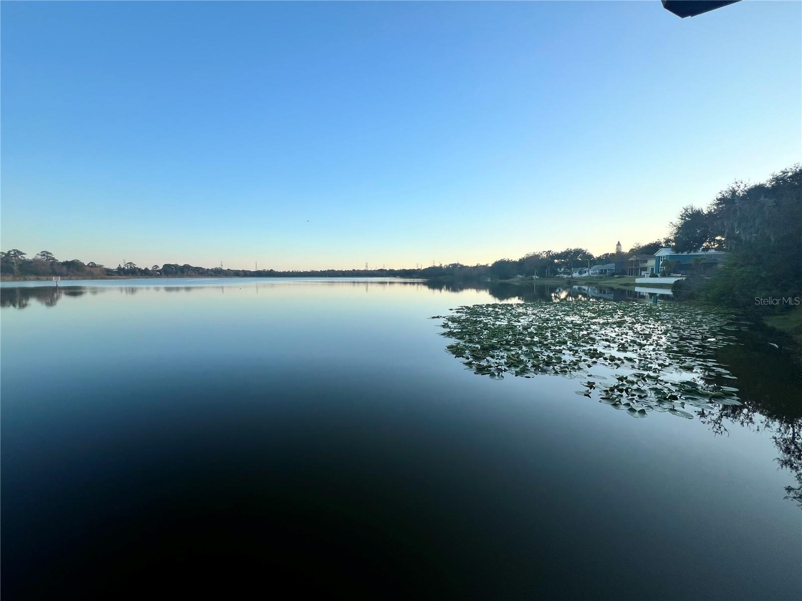 LAKE ST GEORGE UNIT VIII-A - Residential