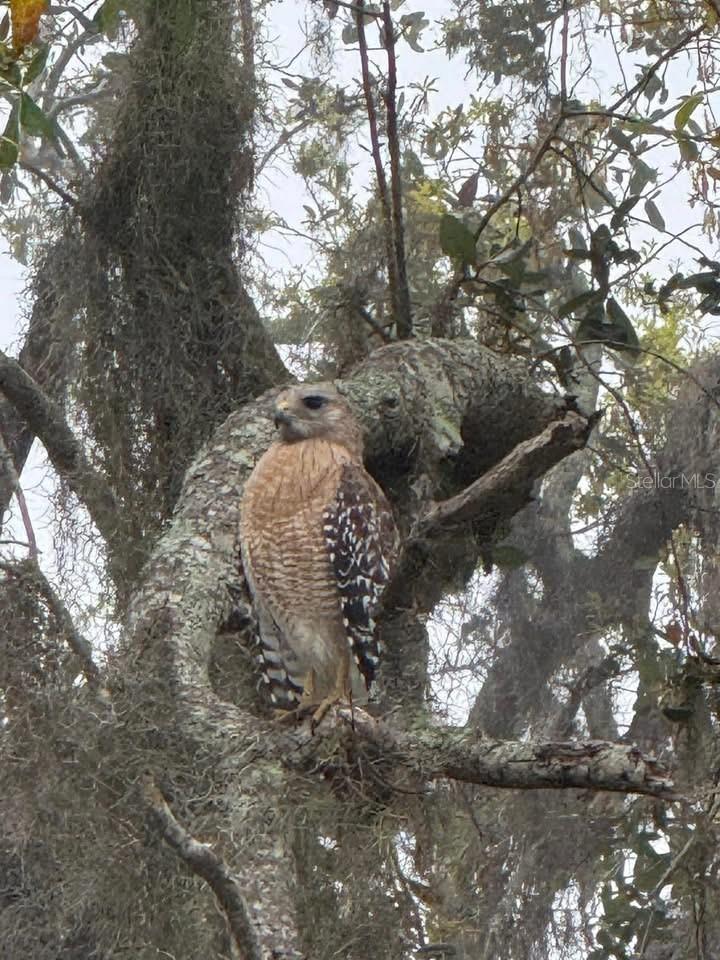 LAKEHOUSE COVE/WATERSIDE PH 2 - Residential