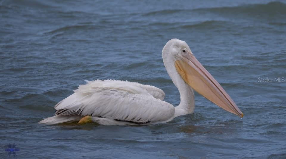 LAKEHOUSE COVE/WATERSIDE PH 2 - Residential