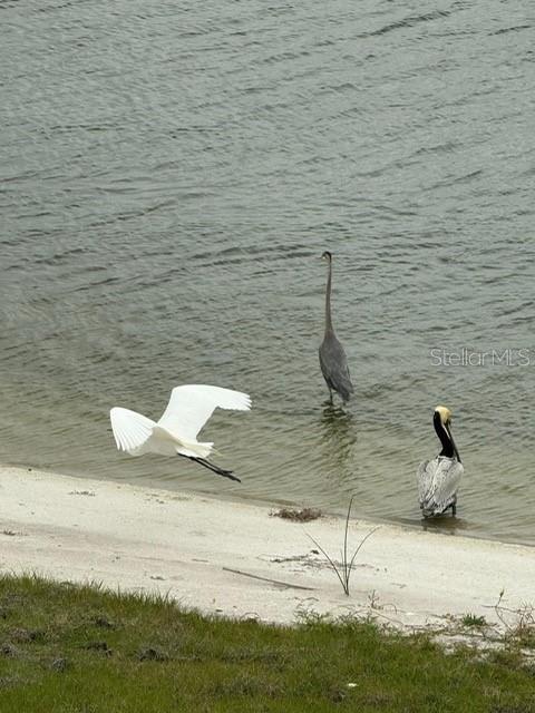 LAKEHOUSE COVE/WATERSIDE PH 2 - Residential