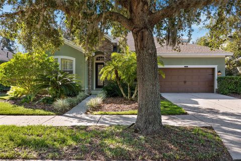 A home in LAND O LAKES