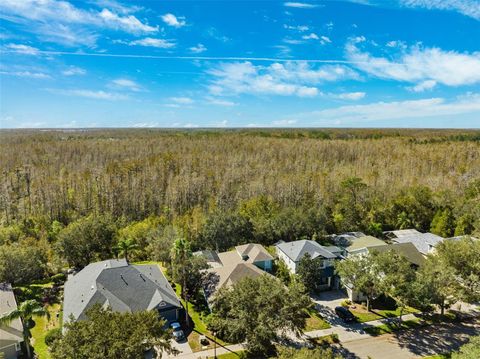 A home in LAND O LAKES