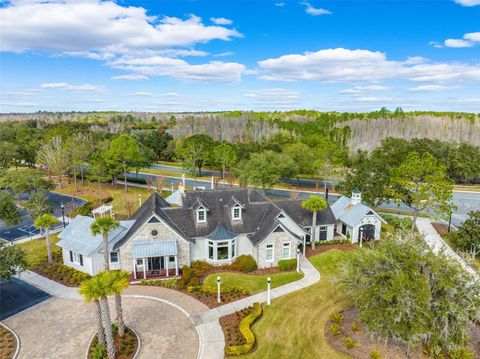 A home in LAND O LAKES