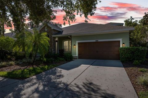 A home in LAND O LAKES