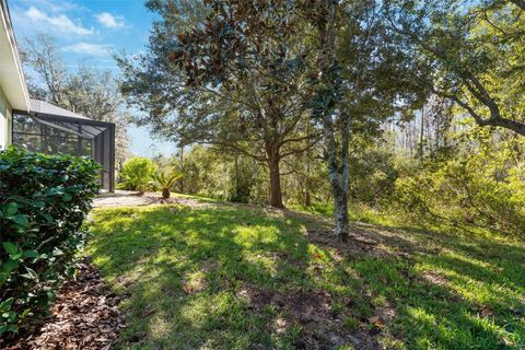 A home in LAND O LAKES