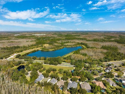 A home in LAND O LAKES