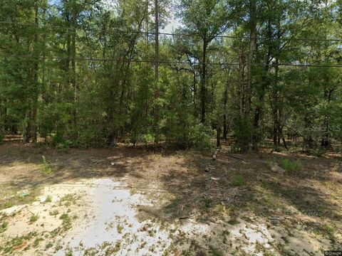 9857 N CARAVEL TERRACE DUNNELLON FL 34434