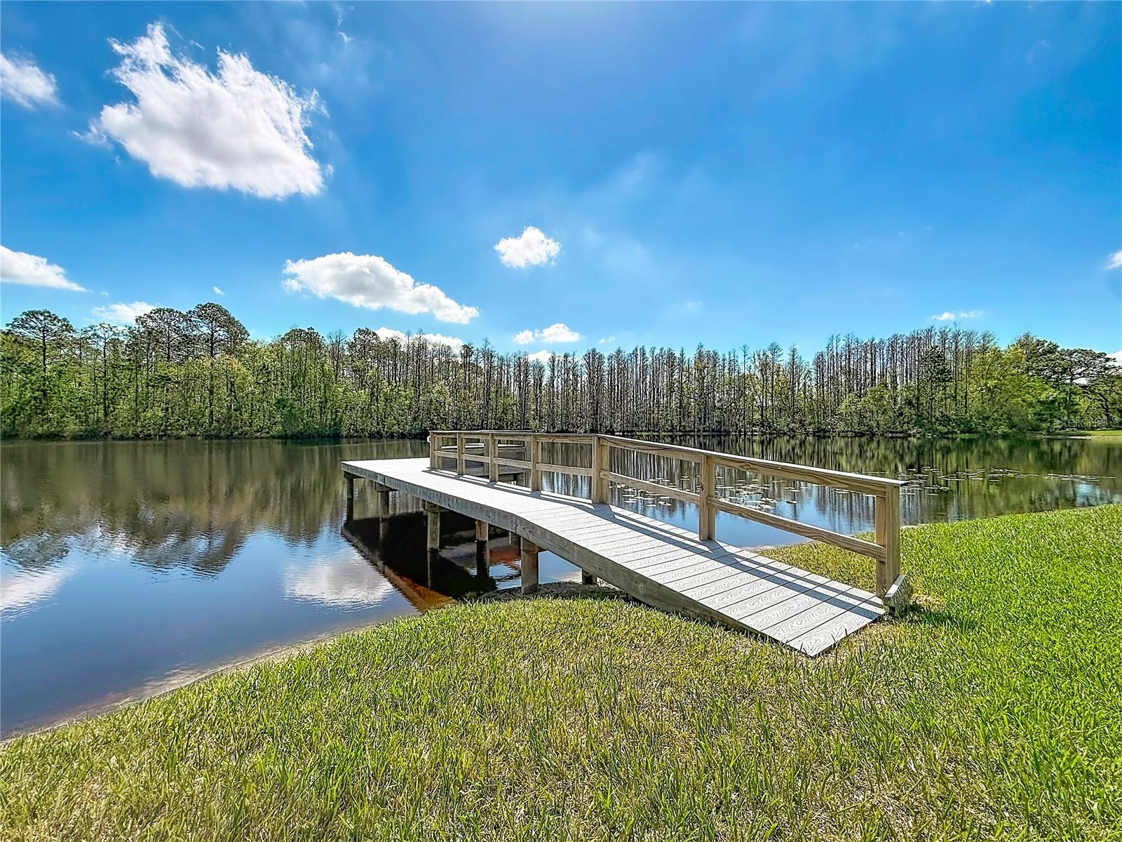 PROMENADE AT LAKE PARK PH - Residential