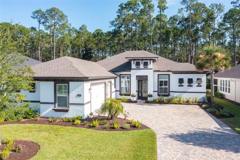 A home in ORMOND BEACH