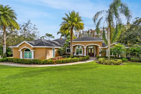 A home in TARPON SPRINGS