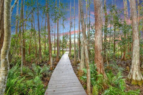 A home in TARPON SPRINGS