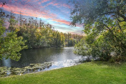 A home in TARPON SPRINGS