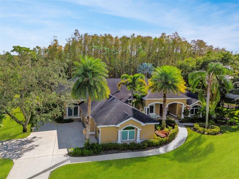 A home in TARPON SPRINGS