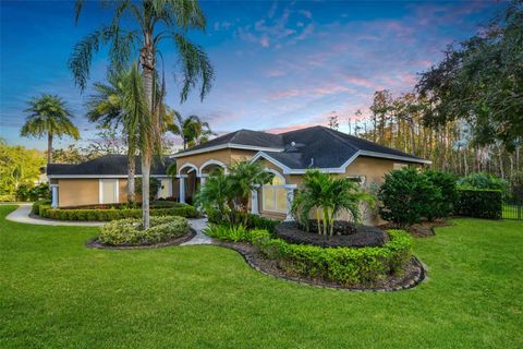 A home in TARPON SPRINGS