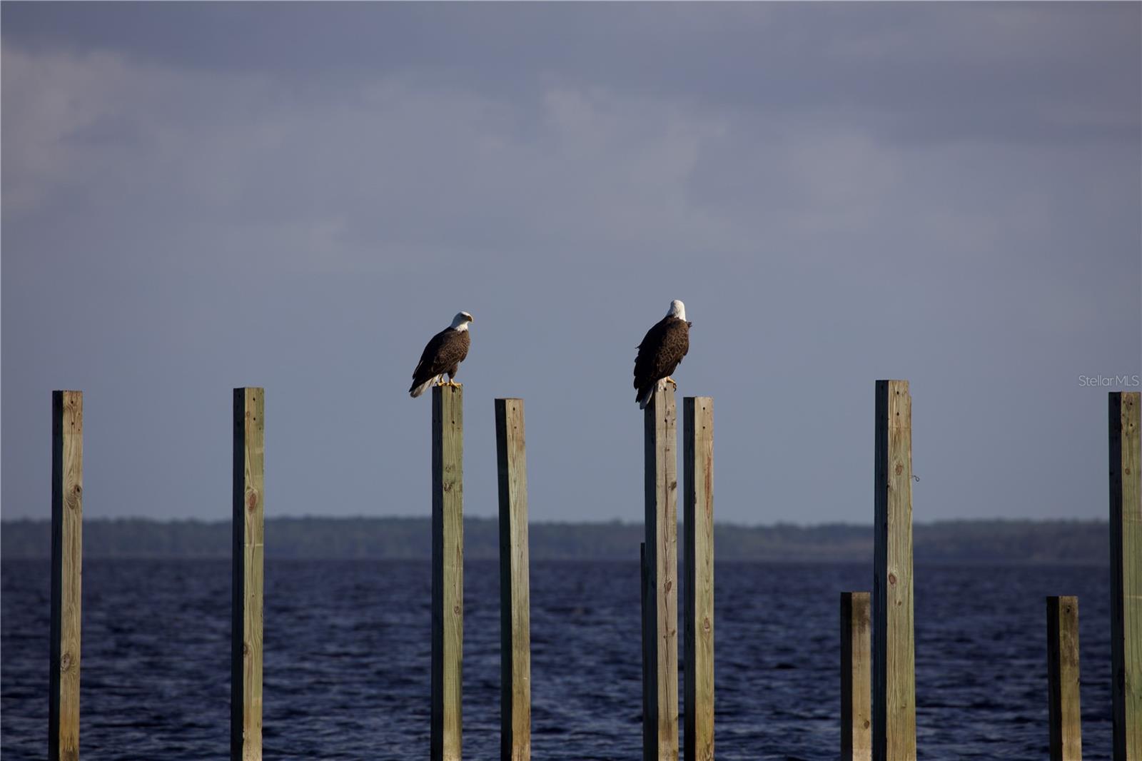 LAKE HARNEY BEACH - Residential