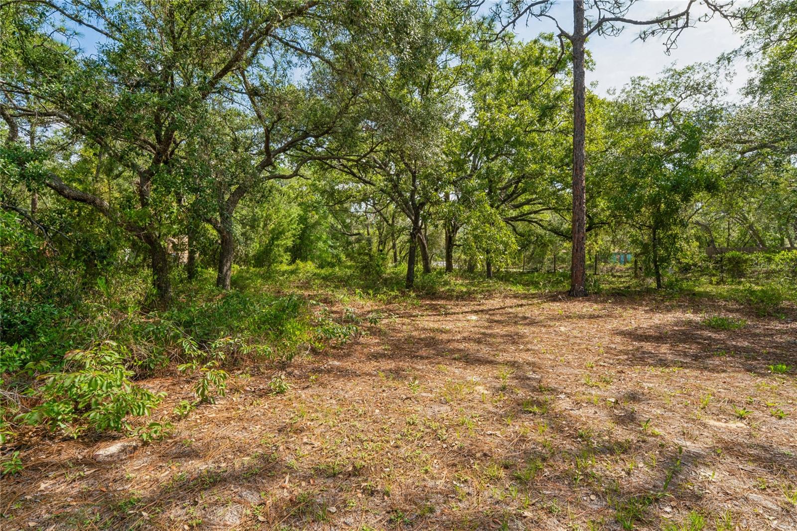 WOODHAVEN ESTATES - Residential