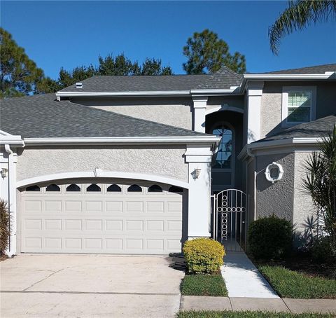 Photo of 16135 Craigend Place, Odessa, FL 33556 (MLS # O6352873)