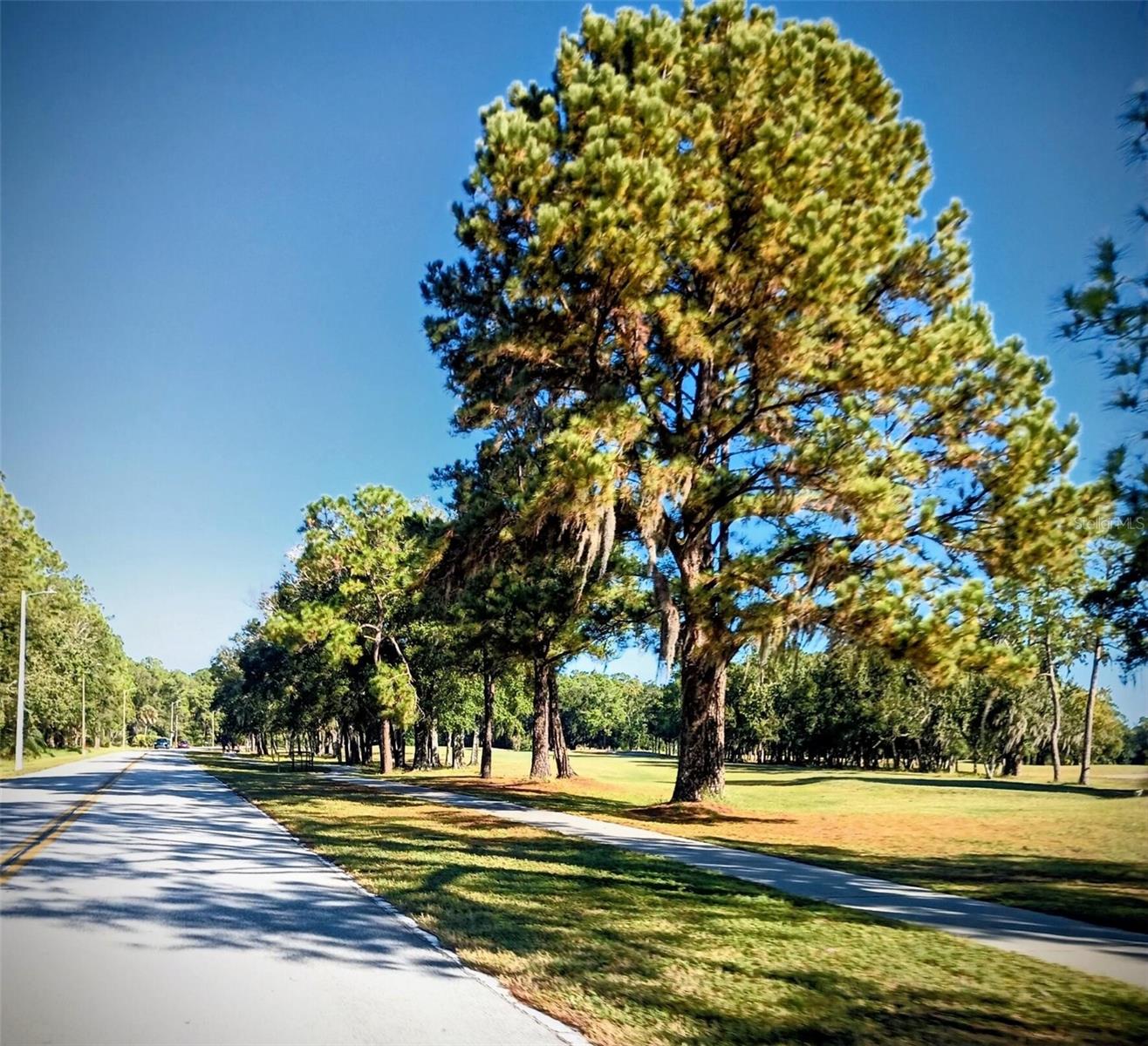 ROYAL TROON VILLAGE - Residential