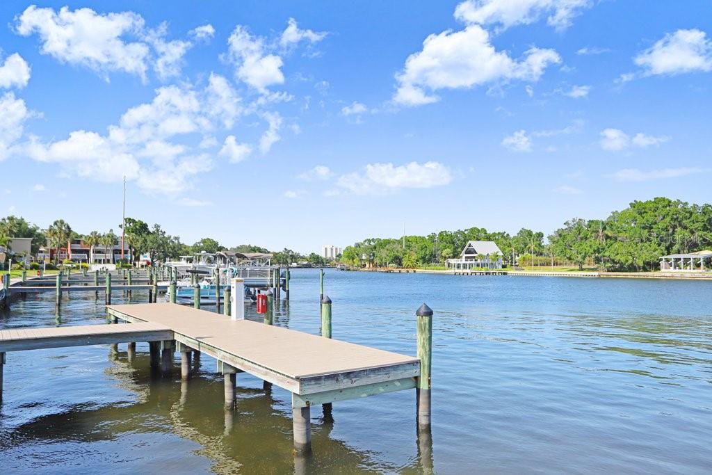 THE MARINA CLUB OF TAMPA BUILD - Residential