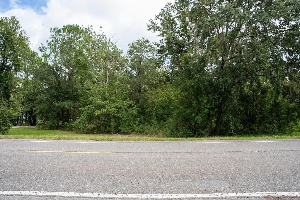 Photo of Commonwealth Avenue N, Polk City, FL 33868 (MLS # P4940002)