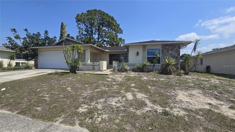 Photo of 8022 Idle Briar Lane, Port Richey, FL 34668 (MLS # TB8490581)