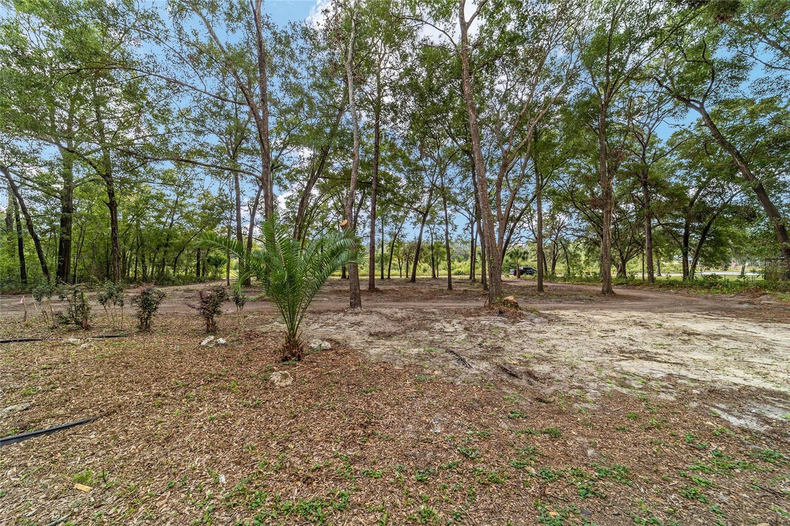 LAKE TROPICANA RANCHETTES - Residential