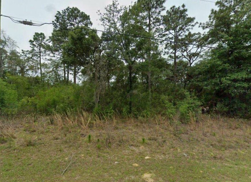 Excellent opportunity to invest or build in Citrus Springs, Florida. Well-located lot at 2338 W Riley Dr, in a quiet and constantly developing area, ideal for those seeking quality of life or property appreciation.

The lot is situated on a residential street, with water and electricity Nearby, facilitating and speeding up the construction process. The area has easy access to schools, supermarkets, pharmacies, parks and golf courses, and is just minutes from the main roads connecting the city to other areas of the county.

Citrus Springs is known for its calm environment, surrounded by nature, with proximity to rivers, springs and outdoor recreation areas, making it an excellent option for both living and investment.

Don't miss the chance to acquire land in one of the fastest growing areas in the region. Contact us for more information.