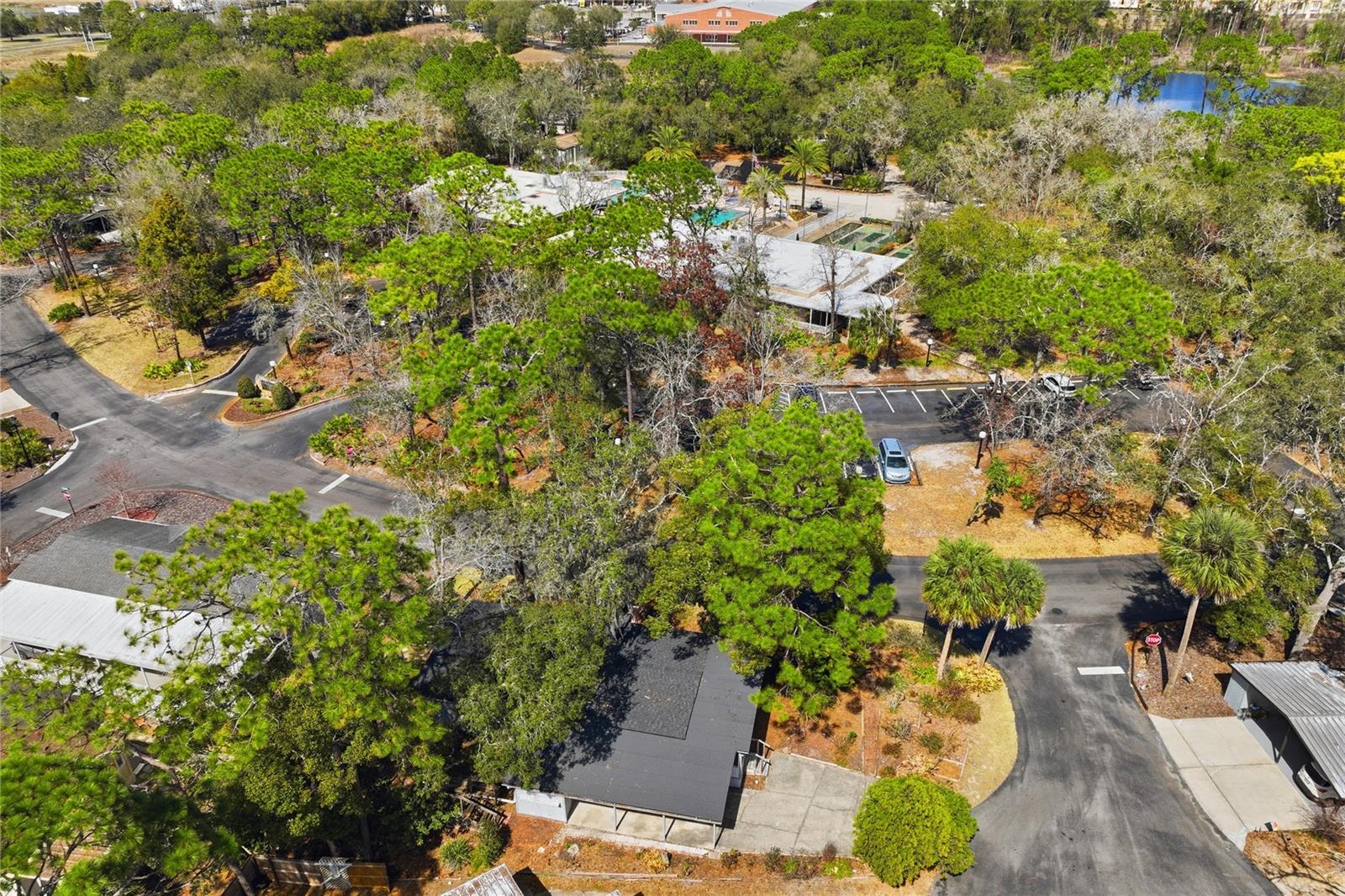 FOREST THE - Residential