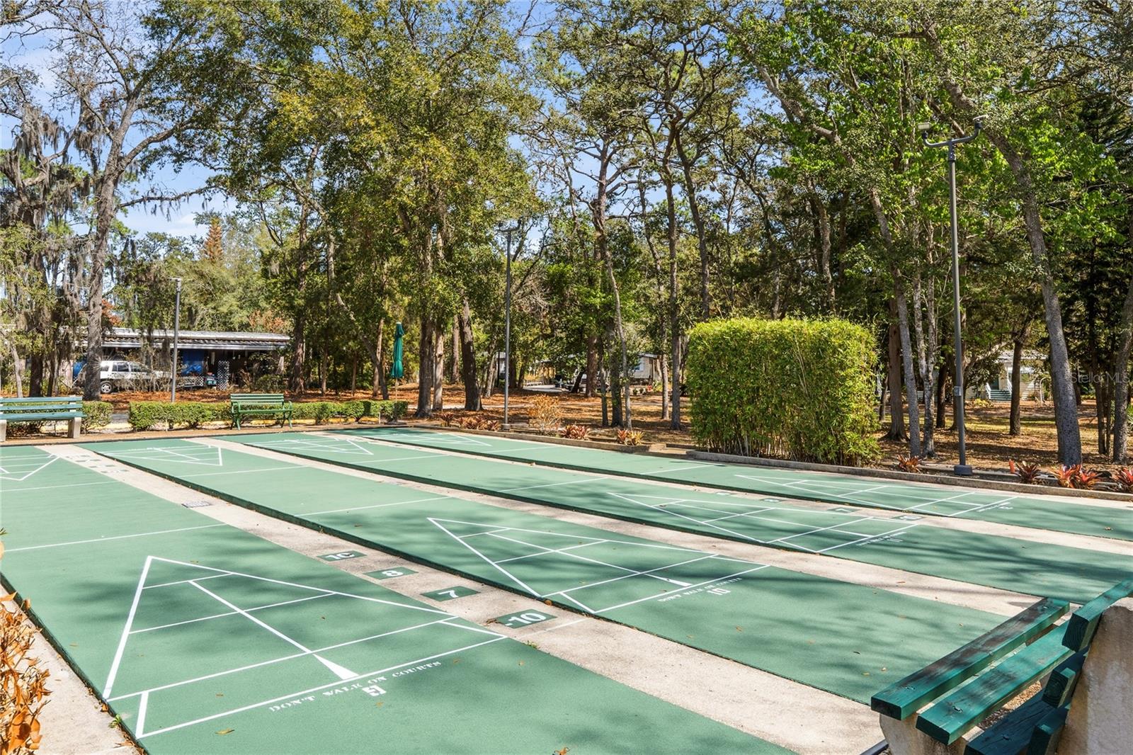 FOREST THE - Residential