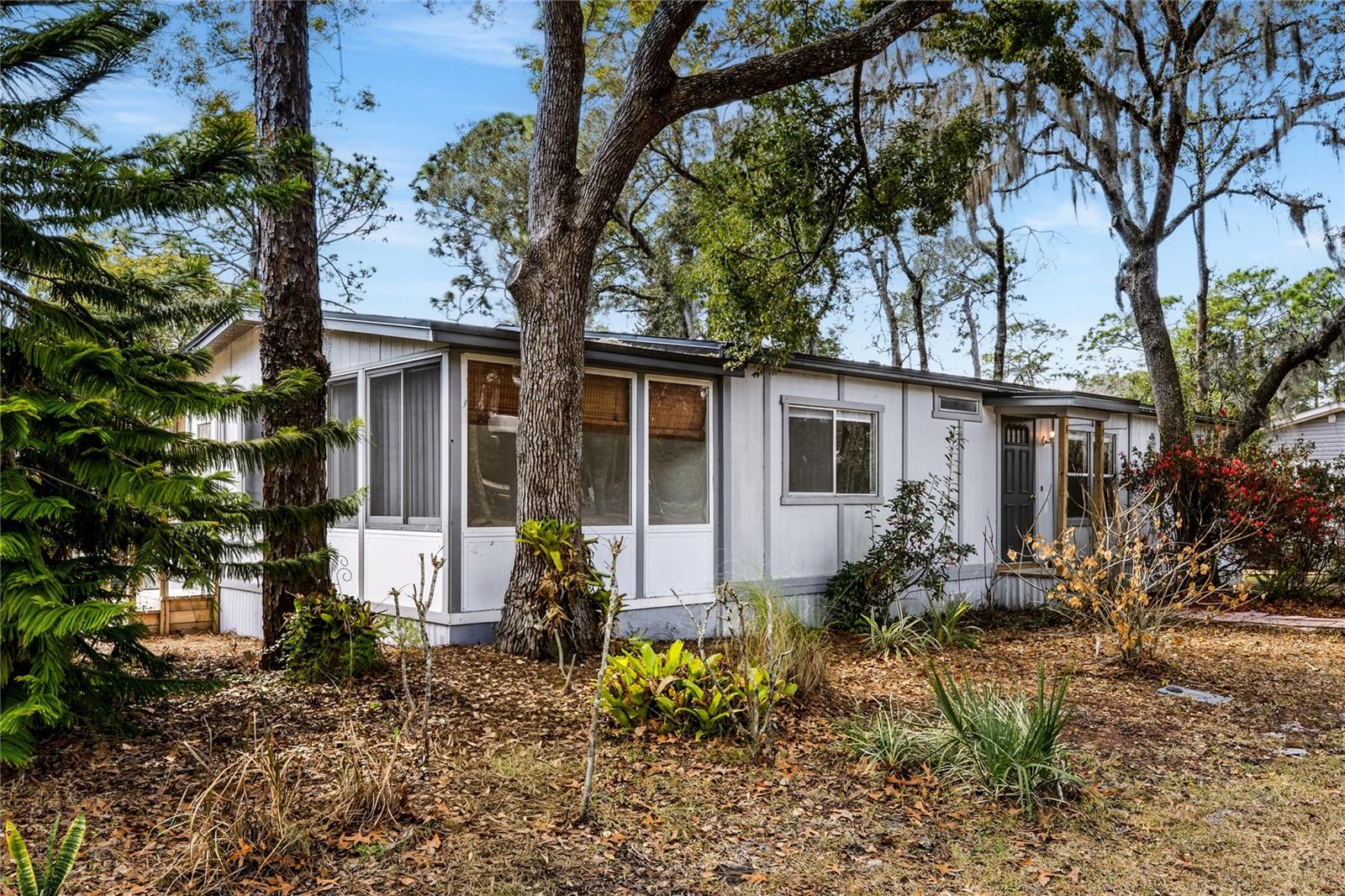 FOREST THE - Residential