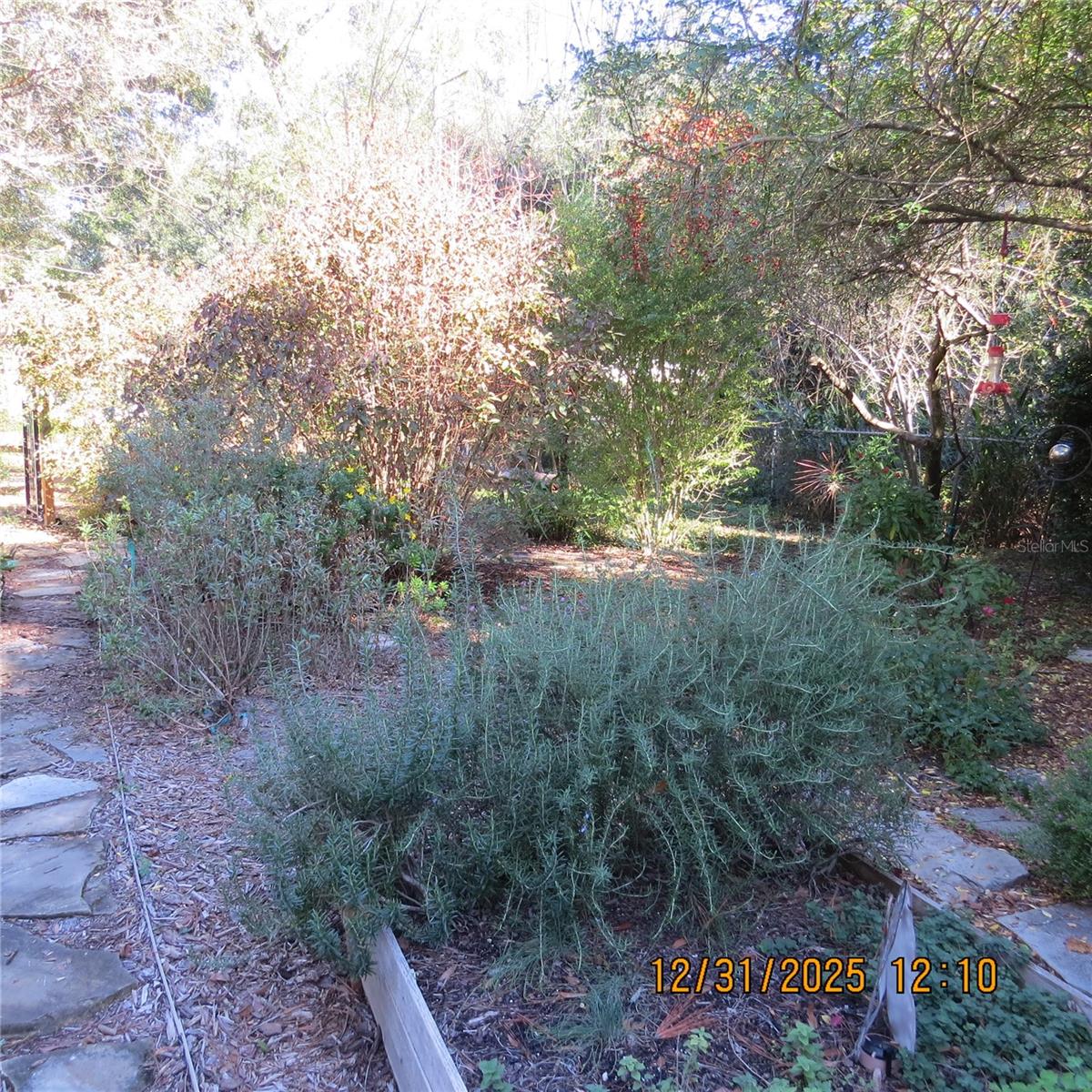 IDYLWILD - Residential