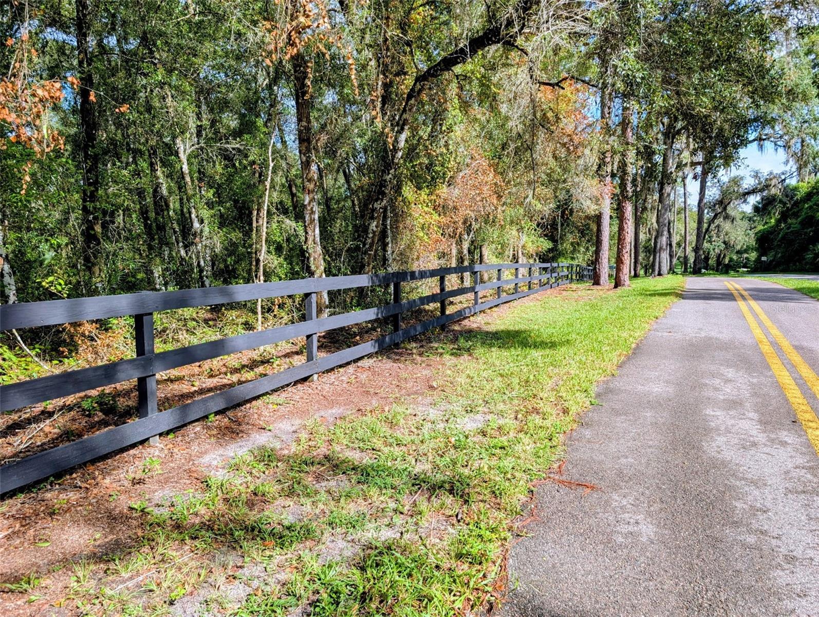 Gorgeous 5+/- Acre property in Glenwood!! Take a look at this lot that is just waiting for you to build your dream home!! The biking and hiking trail runs in front of this property, so you have access to miles of trails. This high and dry property is close is a private retreat with proximity to dowtown Deland, New Smyrna Beach, Sanford, and Orlando. Live in the country and still be close to Airports, shoppong, and beaches.