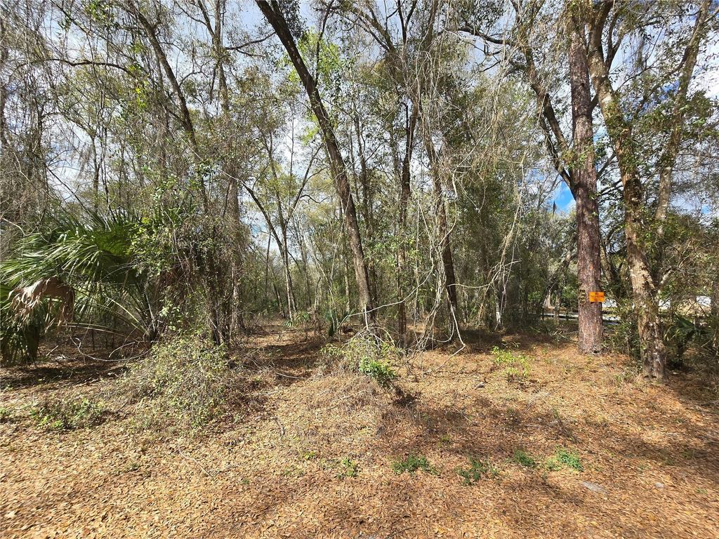 Photo of Bright Way, Deland, FL 32720 (MLS # R4909923)