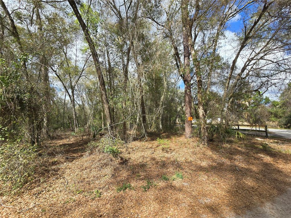 Photo of Bright Way, Deland, FL 32720 (MLS # R4909923)