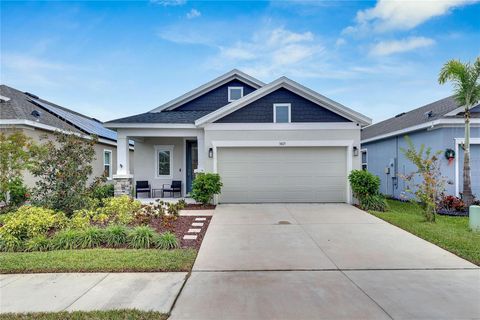 A home in APOLLO BEACH