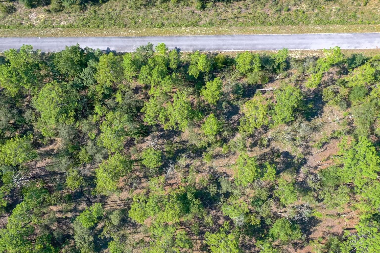 RAINBOW LAKES ESTATE - Land